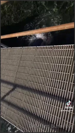 whismic leaked fart Onlyfans video 061024 83 ( 9.6 MB )