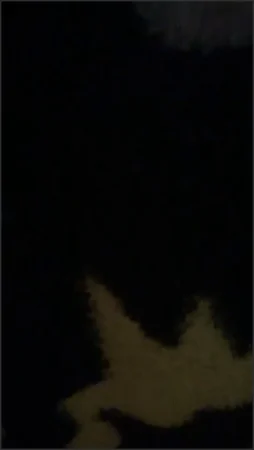 princesssugarc this was a pretty good fart it felt great coming out 116149219 ( 14.7 MB )