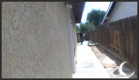 luna marble he likes to watching me on the home cameras while hes a w 3812153435 ( 71.3 MB )